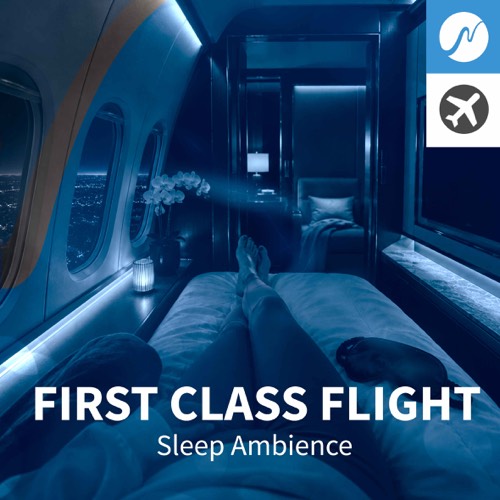 first class flight500x500